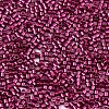 FGB 11/0 Grade A Glass Seed Beads X-SEED-S030-1211-2