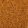 TOHO 8/0 Round Beads SEED-XTR08-0030F-2