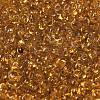 Transparent Colours Glass Seed Beads SEED-P006-02A-15-3