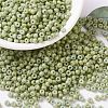 MIYUKI Round Rocailles Beads SEED-G008-RR4473-1