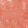 Baking Paint Glass Seed Beads SEED-S042-15B-29-3