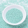 MIYUKI Delica Beads SEED-X0054-DB0626-2