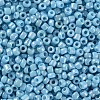 Opaque 8/0 Glass Seed Beads SEED-S023-01B-03-2