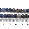 Natural Sodalite Beads Strands GSR6mmC013-1-4