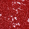 FGB 11/0 Grade A Glass Seed Beads SEED-S030-1016-2