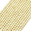 Natural Fossil Beads Strands G-A260-A35-01-2