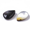 Natural Black Lip Shell Beads X-SHEL-R047-14-2