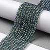 Electroplate Transparent Glass Beads Strands GLAA-H021-01B-FR01-3
