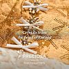 Preciosa® MAXIMA Crystal Round Stones X-PRC-RBSS29-90350-3