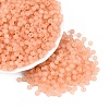 FGB Frosted Transparent Glass Seed Beads SEED-N013-02A-04-1