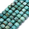 Natural HuBei Turquoise Beads Strands G-G106-G01-02-1