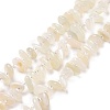 Natural White Moonstone Beads Strands G-D480-A16-03-1