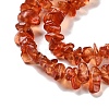 Transparent Glass Beads Strands GLAA-P060-01B-03-3