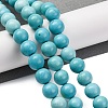 Dyed Natural Magnesite Beads Strands G-P558-A01-01B-2