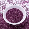MIYUKI Delica Beads X-SEED-J020-DB2162-2