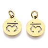 304 Stainless Steel Charms STAS-Q201-T446G-03-2