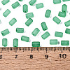 FGB Frosted Transparent Glass Seed Beads SEED-N013-05A-09-4