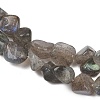 Natural Labradorite Beads Strands G-Q060-E20-01-4