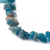 Natural Apatite Anklets AJEW-AN00592-01-3