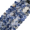 Natural Blue Spot Jasper Beads Strands G-M403-A21-02-1