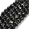 Assembled Synthetic Stone and Trochus Shell Beads Strands G-B128-08D-04-1
