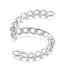 201 Stainless Steel Chain CHS-G017-11P-1.0mm-2