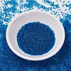 MIYUKI Delica Beads X-SEED-J020-DB0714-2