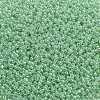 TOHO 11/0 Round Beads X-SEED-TR11-0144-2