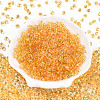 3/0 Baking Paint Glass Fringe Seed Beads SEED-A034-04B-1