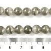 Natural Selenite Beads Strands G-C142-01B-01-4