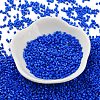 Baking Paint Glass Seed Beads X-SEED-S042-05B-77-2
