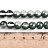 Baking Paint Transparent Glass Beads Strands DGLA-N011-8mm-07-4