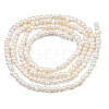 Natural Cultured Freshwater Pearl Beads Strands PEAR-N013-02B-2