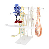 3-Tier Acrylic Hairband Display Stand ODIS-WH0030-82-1