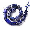 Natural Lapis Lazuli Beads Strands G-S345-8x11-002-2