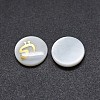 Shell Cabochons SSHEL-E568-A04-1