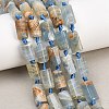 Natural Blue Calcite Beads Strands G-A314-A06-01-1
