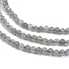 Natural Labradorite Beads Strands G-I341-11B-3