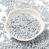 Opaque Colours Luster Glass Seed Beads SEED-B001-01A-09-2