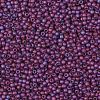 TOHO 11/0 Round Beads SEED-XTR11-0625F-2