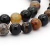 Natural Petrified Wood Round Bead Strands G-P070-69-4mm-1