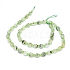 Natural Prehnite Beads Strands G-O201B-19-3