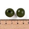 Painted Natural Wood Beads WOOD-A018-16mm-06-3