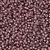 MIYUKI Round Rocailles Beads SEED-JP0008-RR0364-3