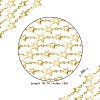 Brass Star Link Chains CHC-SZ0001-22-2