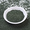 MIYUKI Round Rocailles Beads SEED-G007-RR0501-2