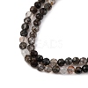 Natural Black Rutilated Quartz Beads Strands G-RM250104-C3-5