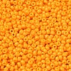 MIYUKI Round Rocailles Beads X-SEED-G008-RR4453-2