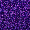 12/0 Grade A Round Glass Seed Beads X-SEED-N001-D-13/207-2