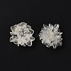 Transparent Resin Cabochons RESI-G027-01A-4